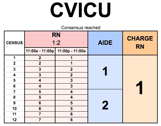 Picture of Mercy Hospital CVICU Staffing Grid